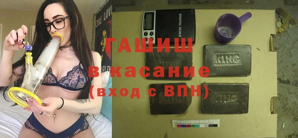 прущие грибы Верея