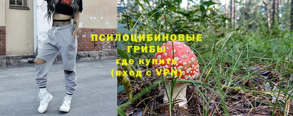 соль ск Верхний Тагил