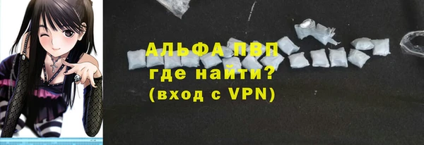 прущие грибы Верея