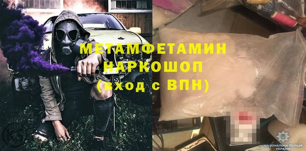 прущие грибы Верея