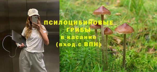 прущие грибы Верея